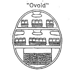 Ovoid